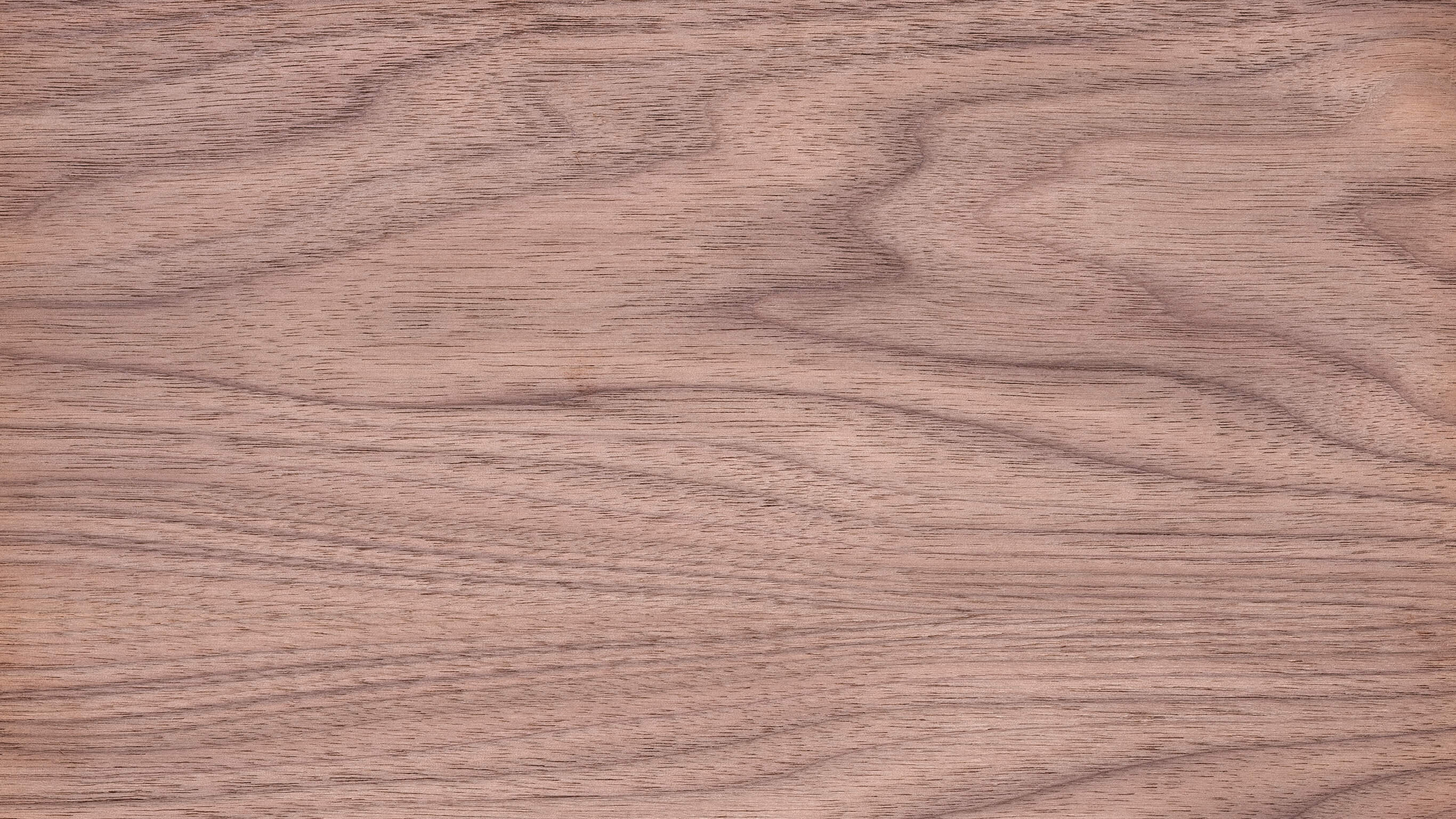 Walnut hardwood Walnut hardwood