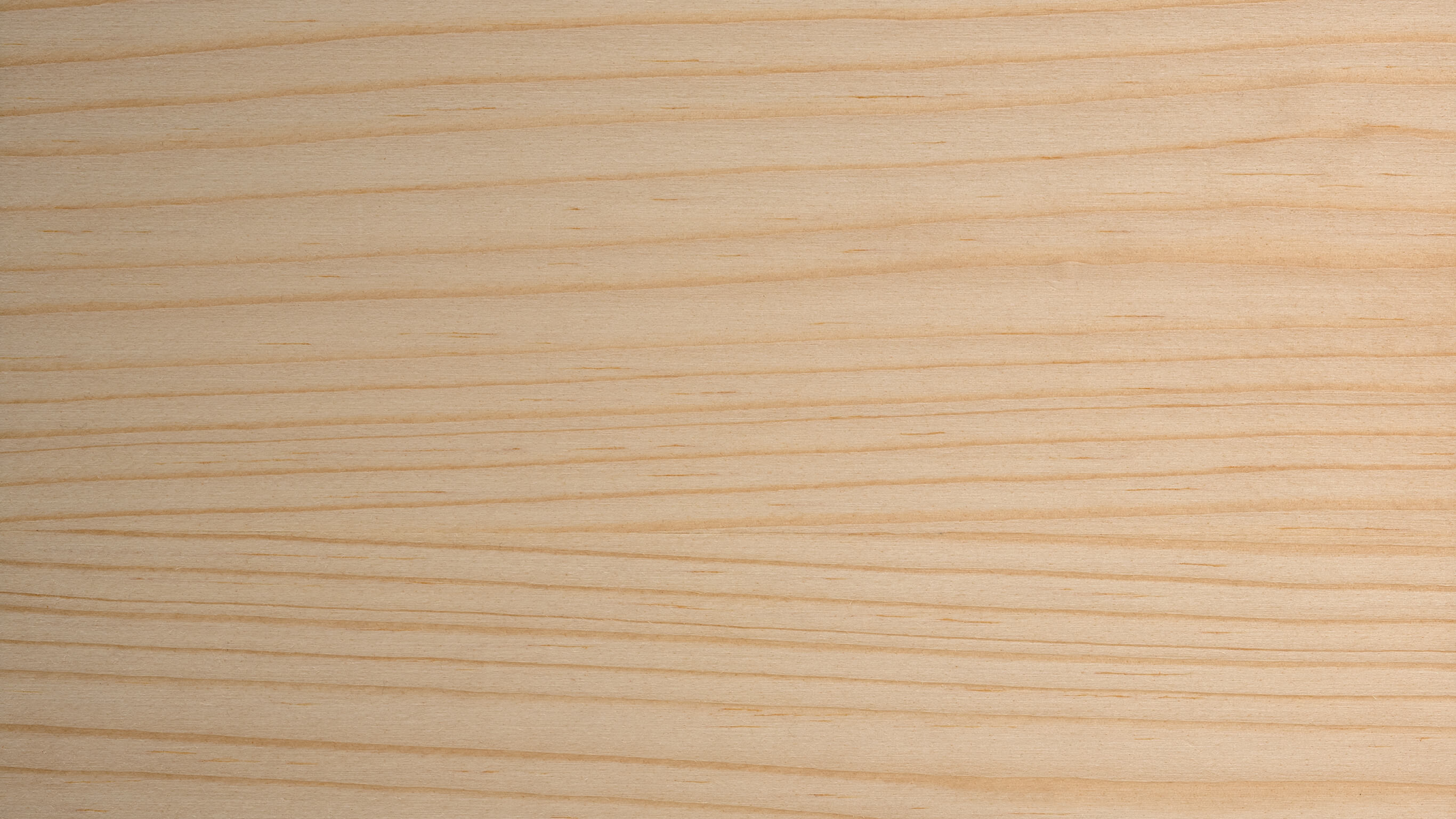 Spruce softwood Spruce softwood