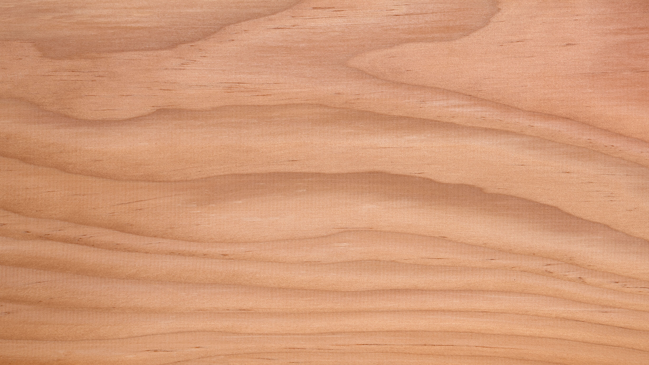 Fir and Douglas fir softwood Fir and Douglas fir softwood